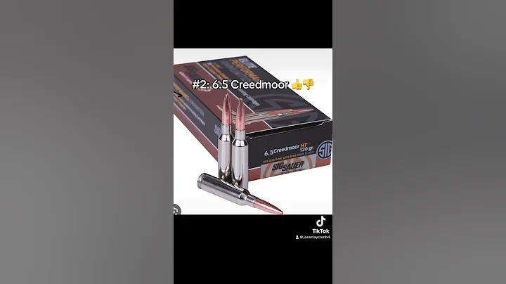 Best Rounds for Wild Boar