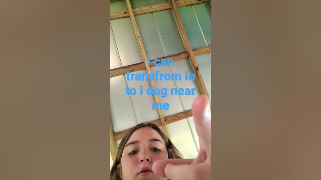 I Can Transform In To A Dog Near Me YouTube i-can-transform-in-to-a-dog-near-me-youtube