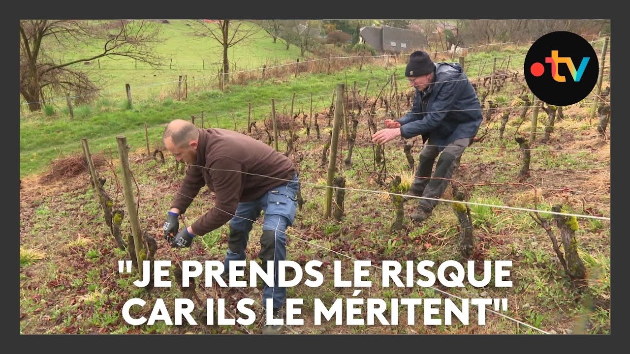 Viticulteurs en Savoie, ils dédient une cuvée à leurs ouvriers sans papiers