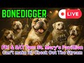 Bonedigger Live at Ethnic Fest, JOHNSTOWN, PA 7pm St. Mary's #nearstreamvm33 #neaerstreamvm#46