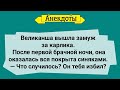 Великанша и карлик! Первая Брачная Ночь! Смешные Анекдоты До Слез! Юмор!