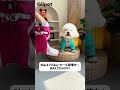 冬のお散歩がもっと楽しくなる魔法のジャケット登場！🐶✨