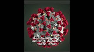 Download Lagu satu virus mengguncang dunia MP3 Download Lagu satu virus mengguncang dunia MP3