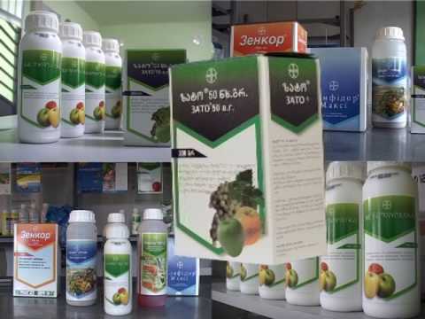 ზატო და ბაიკორი