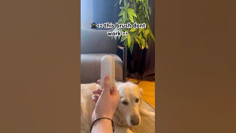 Link in bio🧷 #cat #funny #cute #doglover #fypyoutube #tiktokmademebuyit