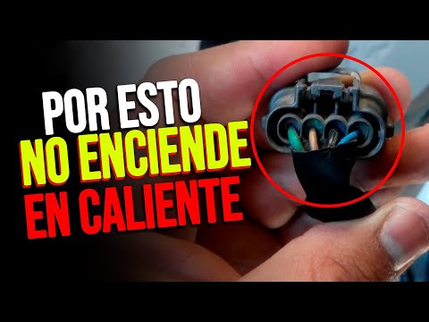 Barragán y las joyas de la cacharrería, free slots freebingocasino.com