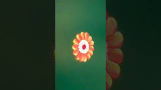 Simple Small Rangoli #shorts #shortsfeed #rangoli #art #diy #asmr #ytshorts