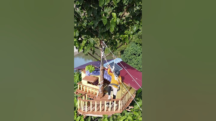 Jumping from a 30 meter tree house is so exciting😭 #1089 #KOOKIKO