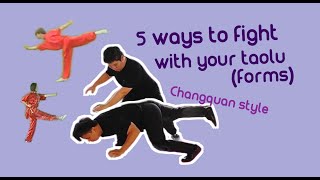 5 ways to fight with your Taolu (form)- Changquan Long fist application 长拳应用 实战 #kungfu #changquan