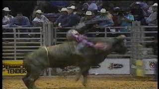 Celebrity Jerome Davis vs Skyhook - 96 PBR Birmingham (91 pts) Profile