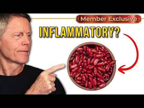The Problem with Lectins (ft. Dr Vega)