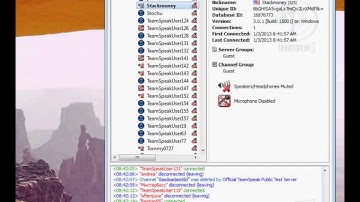 TeamSpeak3 Overlay Plugin Tutorial - ForsakenSpirit