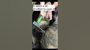 A fossil inside a big rock #fossils  #rock  #mining  #shorts