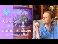 5 dolog, ami hat az immunrendszerre menopauza alatt I Immunerősítési praktikák I Almapapi Életmód50+