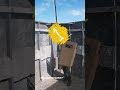 Must have Players on your team