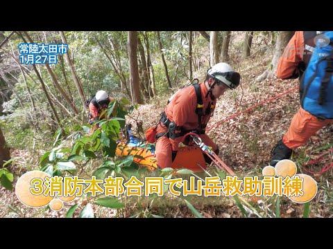 夢は山岳救助隊　イタチミノー 夢は山岳救助隊 イタチミノー 楽天市場】 ハンドメイドルアー