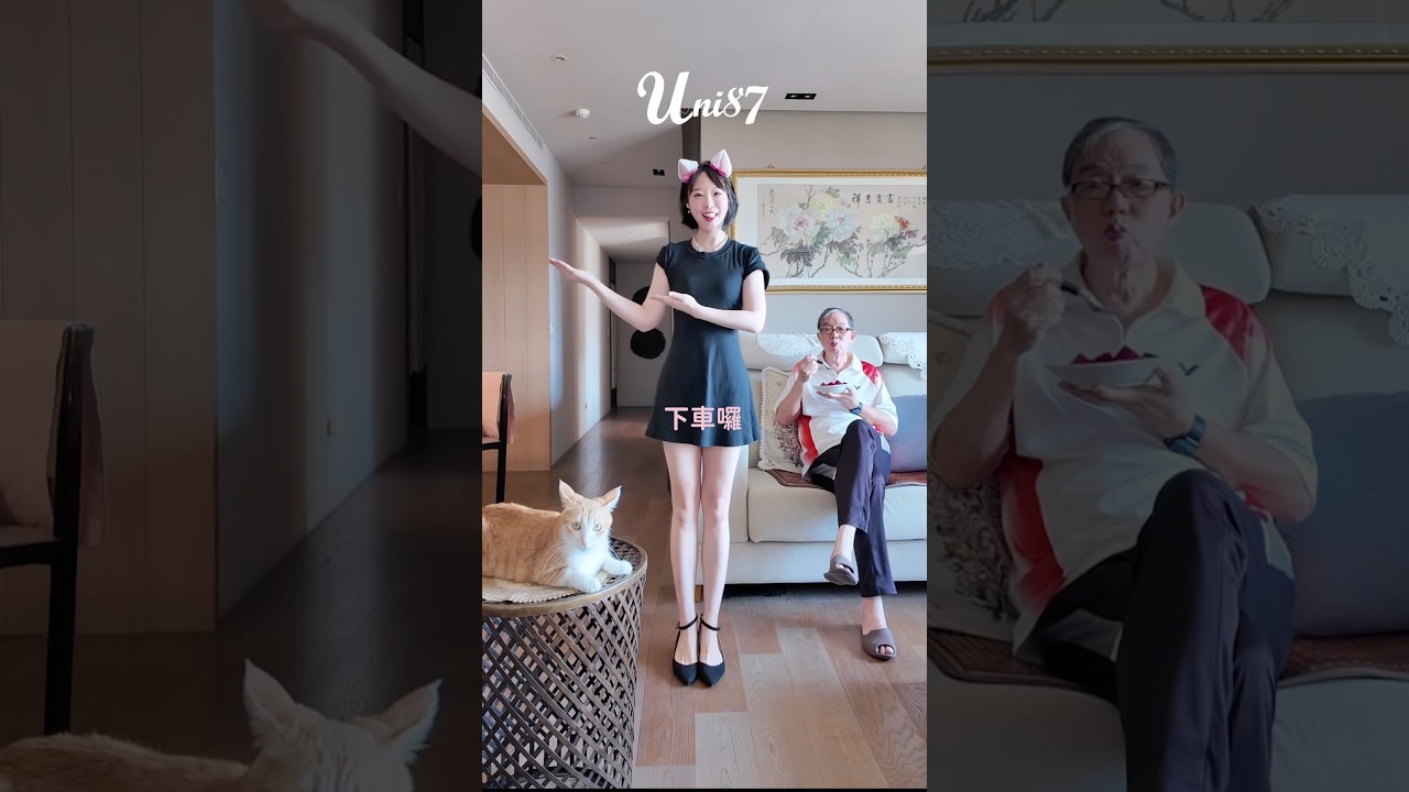 上車舞🐱貓奴傲嬌版