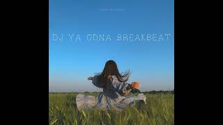 DJ Ya Odna Breakbeat (Radio Edit)