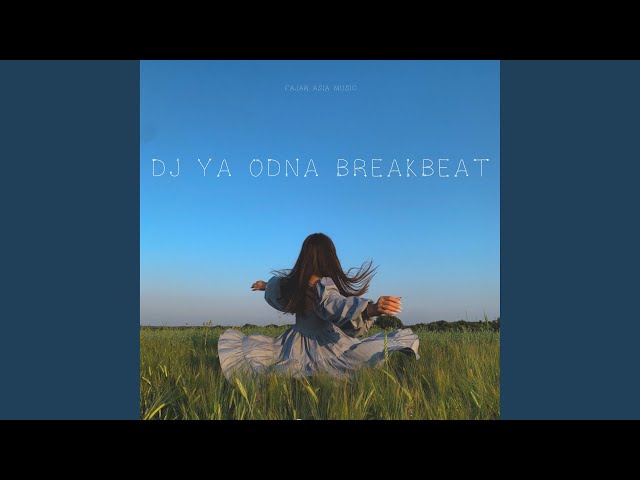 DJ Ya Odna Breakbeat (Radio Edit)