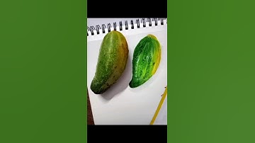 CUCUMBER🥒 REALISTIC DRAWING   #realisticdrawing #art #trendingshorts #youtubeshorts #drawing