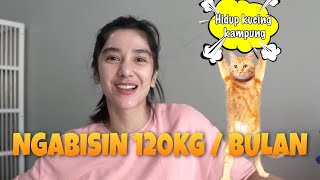 DEMI KUCING AKU RELAAAA!! // KEBUTUHAN KUCING DIRUMAH SELAMA SEBULAN // MANUSIA AJA KALAH!!