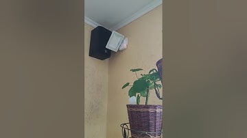 Используйте потенциал ESP32\8266 в Home Assistant на полную с прошивками ESPHome.