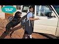 1st day at new school  emotional dog  funny dogs 