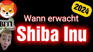 Shiba INU 2024 Update - Wann erwacht er?