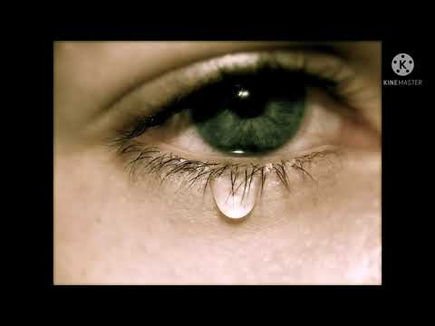 اغنية في حزن وسع المدى