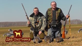 Goose hunting 2017. Two days of goose hunting. Closing of the hunt. screenshot 5