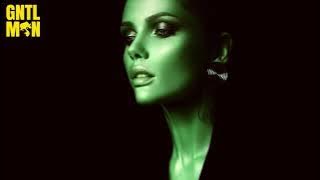 Late Night Feelings • Deep House Mix 2021