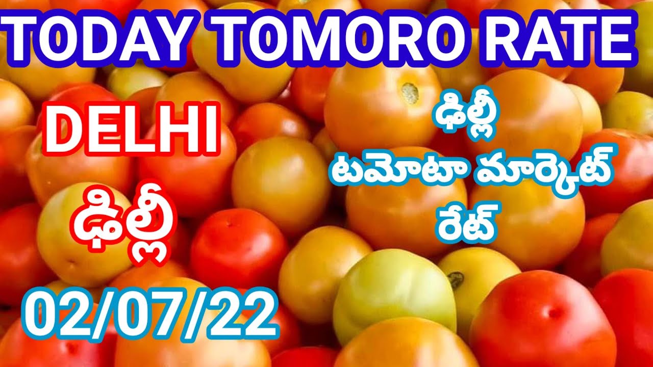 2 July 2022 today Tomato rate in Delhi Azadpur Mandi tomato rate