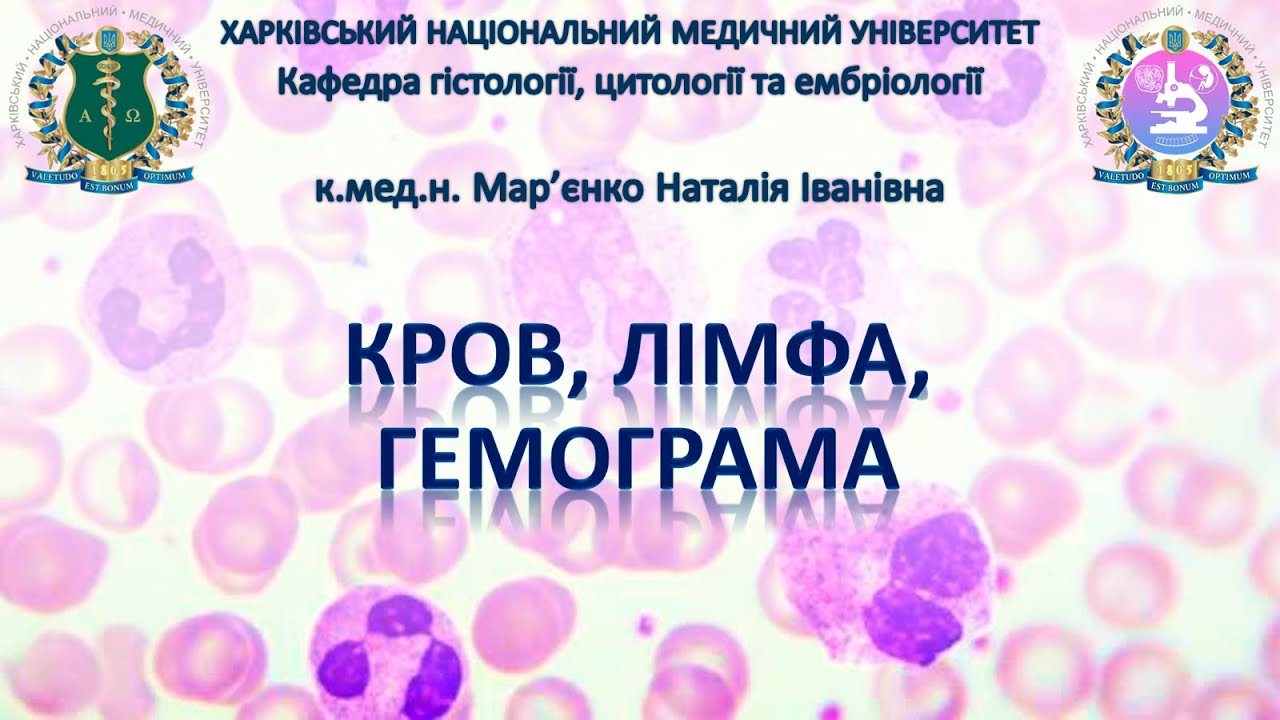 Кров і лімфа, гемограма. Гістологія