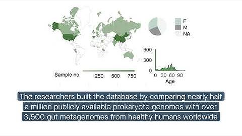 HumGut: A comprehensive database of prokaryotic genomes in the healthy human gut