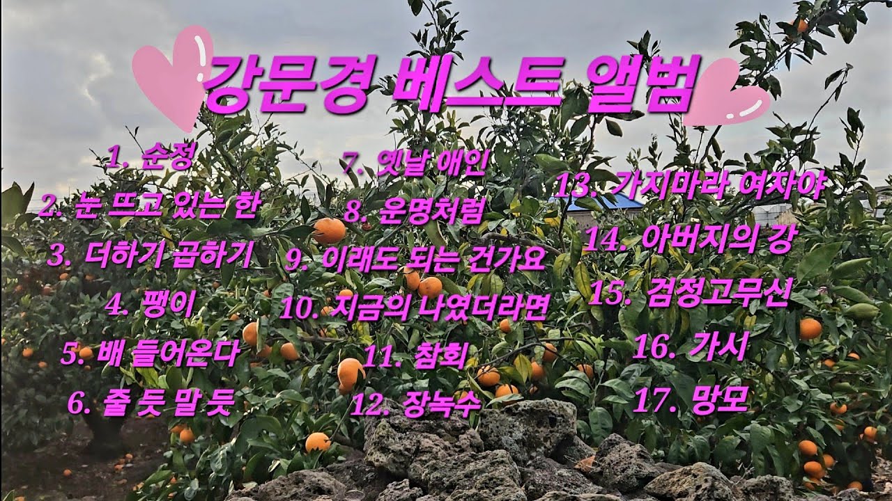 강문경의 베스트 앨범 #뽕신 #트로트 #중년트롯 #베스트곡