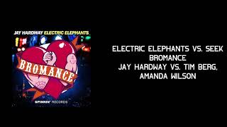 Electric Elephants vs. Seek Bromance - Jay Hardway vs. Tim Berg, Amanda Wilson (RM Mashup)