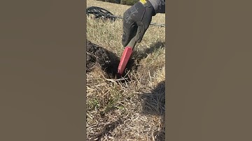 That’s a nice old coin - found while metal detecting! #shorts