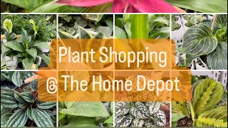 Plant Shopping @ The Home Depot by lifeofbellina 1,194 views 6 days ago 10 minutes, 33 seconds