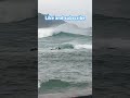 BIG SWELL! #australia #surfing #centralcoastnsw #avocabeach #paparoach