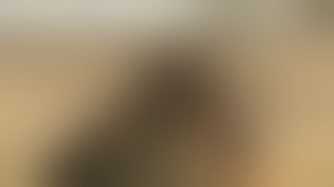 Team Rocket is blasting off again?