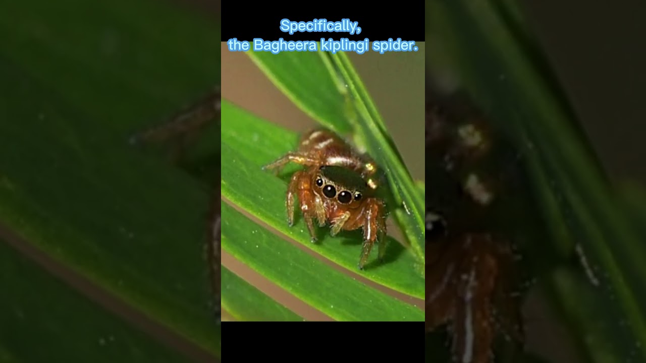 Daily Weird Science Facts #28