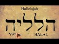 Ruach - The Mystery of the Breath and Voice of God - The Frequency of 222 in the Hebrew text.