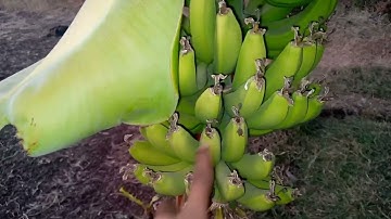 my first vlog 2023 |#vlog #viral #video #youtube #trending #shorts