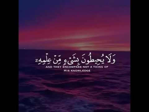 الله لا إله الا هو الحي الفيوم اسلام صبحي سورة البقرة