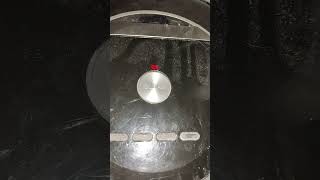 IMG 5410