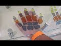 Los Angeles Natural History Museum 2025 vlog, Part 3