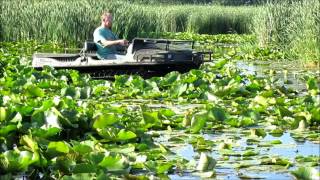 Escargo Tracks And Argos The Real Story