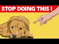 12 Things You Should Never Do to Your Dog