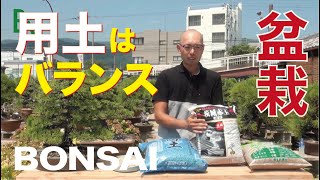 用土は水と空気のバランスが大事【盆栽・初心者講座】