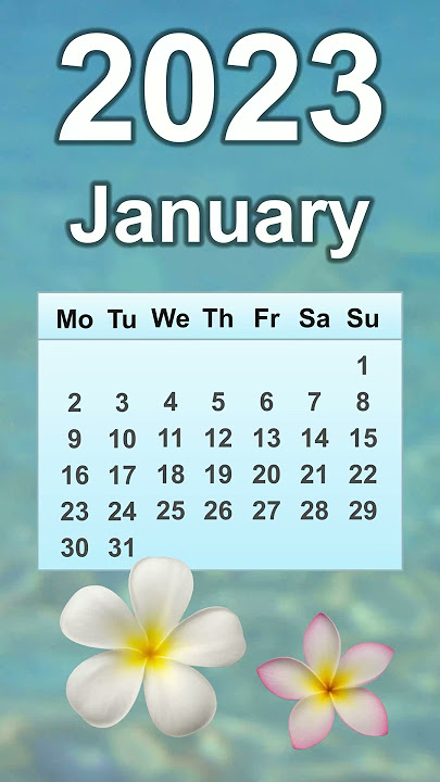 January 2023 Calendar